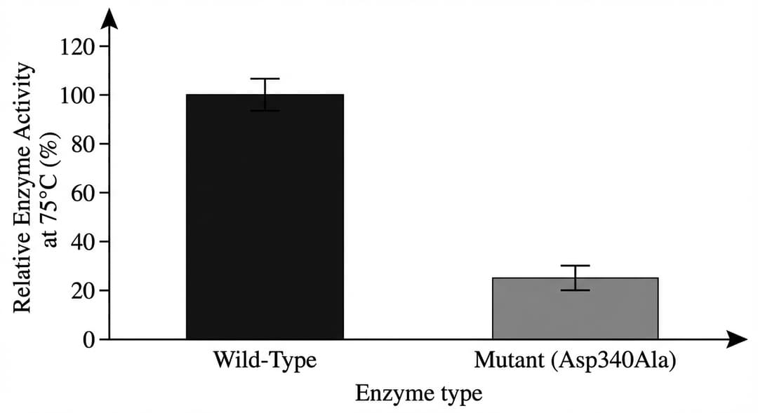 Single-panel vertical bar graph on a white background.
Axes (REQUIRED):
- X-axis label: "Enzyme type" (no units). Exact x-axis range: two categorical positions only, evenly spaced across the width: left category "Wild-Type" and right category "Mutant (Asp340Ala)". No numeric x-ticks.
- Y-axis label: "Relative Enzyme Activity at 75°C (%)". Exact numeric range: from 0 to 120. Tick marks and tick labels every 20%: 0, 20, 40, 60, 80, 100, 120.
- Origin: labeled "0" at the y-axis baseline where the bars start.
- Arrows: arrows on positive ends of both axes (right end of x-axis and top end of y-axis).
- No gridlines.
Bars (exact heights; bar tops must align exactly to the stated y-ticks):
- Left bar (Wild-Type): solid black (or dark gray), rectangular, equal bar width to the Mutant bar. Bar base sits exactly on the 0% baseline. Bar top aligns exactly with the 100% tick.
- Right bar (Mutant (Asp340Ala)): solid medium-gray (lighter than Wild-Type), same width as Wild-Type. Bar base sits exactly on the 0% baseline. Bar top aligns exactly with the 25% level, which is halfway between the 20% and 40% ticks; ensure the top is exactly one-quarter of the Wild-Type height.
Error bars (±SE) on each bar:
- Wild-Type error bar: centered at the 100% bar top, extending exactly 5 percentage points upward to 105% and 5 percentage points downward to 95%, with horizontal caps.
- Mutant error bar: centered at the 25% bar top, extending exactly 5 percentage points upward to 30% and 5 percentage points downward to 20%, with horizontal caps.
Curve/shape description (REQUIRED, adapted for bars):
- Each bar is a straight-sided vertical rectangle (no curvature).
- The only vertical elements besides axes are: the two bars and their vertical error bars.
- No connecting lines between bars.
Critical math constraints (explicit):
- Wild-Type is exactly 100%.
- Mutant is exactly 25%.
- Mutant-to-Wild-Type ratio is exactly 1:4 in bar height.
Text placement requirements:
- Category labels appear directly below each bar: "Wild-Type" under the left bar; "Mutant (Asp340Ala)" under the right bar.
- No additional numeric labels on the bars themselves.
- No legend is necessary because the x-axis labels uniquely identify each bar.