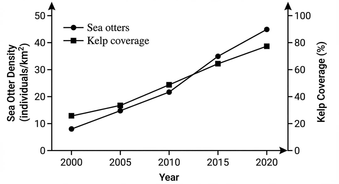 Dual–y-axis line graph with two time-series lines.
Axes and scale (must be exact):
- Horizontal axis: labeled "Year". Numeric range from 2000 to 2020. Tick marks and tick labels at 2000, 2005, 2010, 2015, and 2020 only (5-year interval). The leftmost tick label is 2000 and the rightmost tick label is 2020.
- Left vertical axis: labeled "Sea Otter Density (individuals/km²)". Numeric range from 0 to 50. Tick marks and tick labels at 0, 10, 20, 30, 40, and 50 (10-unit interval).
- Right vertical axis: labeled "Kelp Coverage (%)". Numeric range from 0 to 100. Tick marks and tick labels at 0, 20, 40, 60, 80, and 100 (20-unit interval).
- The origin is shown and labeled "0" at the bottom-left corner where Year = 2000 intersects Sea Otter Density = 0.
- Arrows on the positive ends of all axes: an arrow at the far right end of the x-axis, an arrow at the top of the left y-axis, and an arrow at the top of the right y-axis.
Legend and line identity (must be unambiguous):
- A legend is placed inside the plotting area in the upper-left corner.
- Legend entries:
- "Sea otters" shown as a solid dark-blue line with filled circular markers.
- "Kelp coverage" shown as a solid dark-green line with filled square markers.
Sea otter line (left y-axis) — exact plotted values and segment behavior:
- Plot filled circular markers exactly at each 5-year tick.
- Marker values (must align exactly with left y-axis numbers):
- At year 2000, the marker is exactly at 8 individuals/km² (below the 10 tick, clearly above 0).
- At year 2005, the marker is exactly at 15 individuals/km² (midway between 10 and 20).
- At year 2010, the marker is exactly at 22 individuals/km² (slightly above the 20 tick).
- At year 2015, the marker is exactly at 35 individuals/km² (midway between 30 and 40).
- At year 2020, the marker is exactly at 45 individuals/km² (midway between 40 and 50).
- Connect the markers using straight line segments (piecewise linear), not a smoothed curve.
- Segment directions:
- From 2000 to 2005: straight line rising.
- From 2005 to 2010: straight line rising with a smaller slope than the 2000–2005 segment.
- From 2010 to 2015: straight line rising with the steepest slope of all segments.
- From 2015 to 2020: straight line rising with a smaller slope than the 2010–2015 segment.
- No maxima, minima, inflection points, or discontinuities are shown; the line increases strictly at every time step.
Kelp coverage line (right y-axis) — exact plotted values and segment behavior:
- Plot filled square markers exactly at each 5-year tick.
- Marker values (must align exactly with right y-axis numbers):
- At year 2000, the marker is exactly at 25% (slightly above the 20 tick).
- At year 2005, the marker is exactly at 32% (between 20 and 40, closer to 40).
- At year 2010, the marker is exactly at 48% (just below the 50 level and above the 40 tick).
- At year 2015, the marker is exactly at 65% (between 60 and 80, closer to 60).
- At year 2020, the marker is exactly at 78% (just below the 80 tick).
- Connect the markers using straight line segments (piecewise linear), not a smoothed curve.
- Segment directions:
- From 2000 to 2005: straight line rising.
- From 2005 to 2010: straight line rising with a steeper slope than the 2000–2005 segment.
- From 2010 to 2015: straight line rising with the steepest slope of all kelp segments.
- From 2015 to 2020: straight line rising with a smaller slope than the 2010–2015 segment.
- No maxima, minima, inflection points, or discontinuities are shown; the line increases strictly at every time step.
Styling constraints:
- Use no gridlines.
- Keep both lines fully within the plot area.
- Do not print any coordinate-pair annotations inside the graph; only axis labels, tick labels, legend labels, and the caption are visible text.