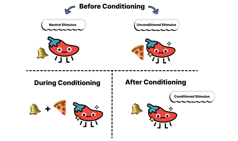 classical conditioning