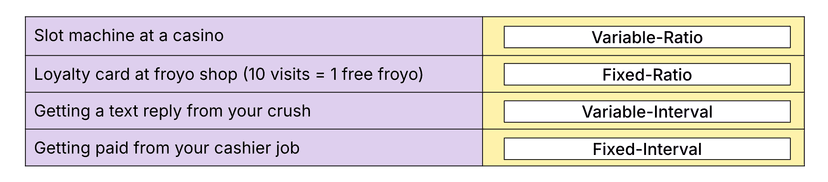 reinforcement schedules example