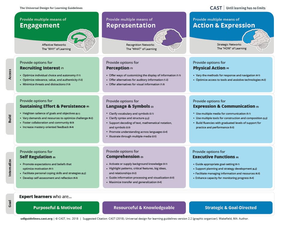 Adapting content, process, and product, UDL On Campus: About UDL