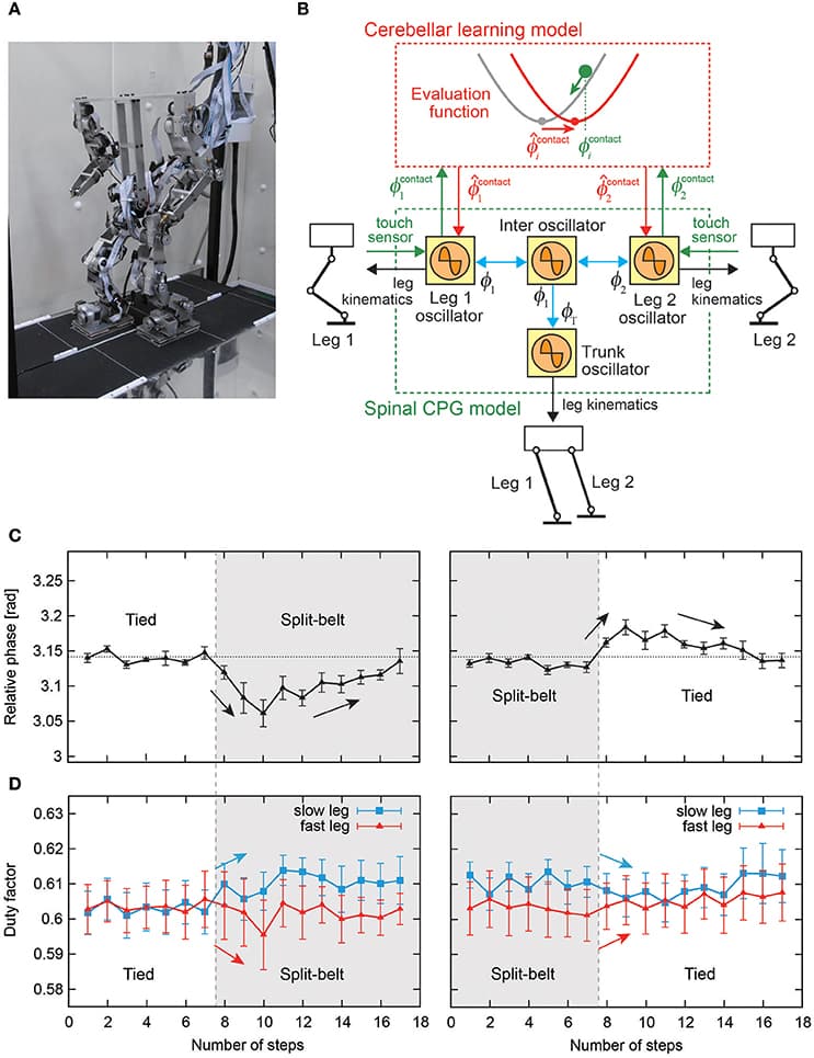 Adaptive Control Techniques, Frontiers | Adaptive Control Strategies for Interlimb Coordination in Legged Robots: A Review