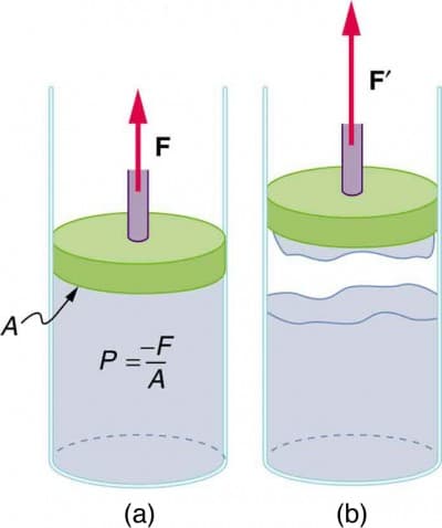 Adhesive vs cohesive forces in liquids, Cohesion and Adhesion in Liquids: Surface Tension and Capillary Action | Physics