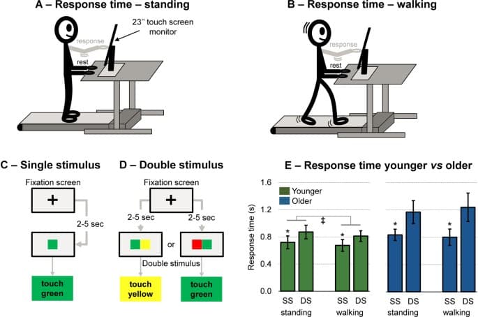 Age-Related Changes in Motor Performance, The cognitive complexity of concurrent cognitive-motor tasks reveals age-related deficits in ...