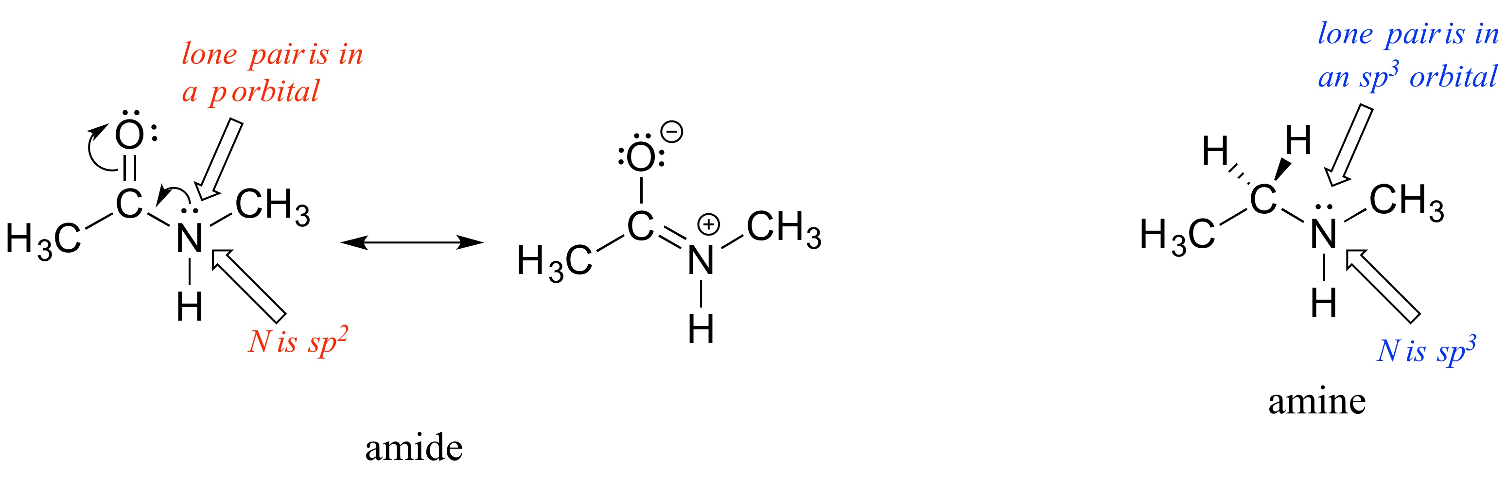 Amide linkage, 6.2. Resonance | Organic Chemistry 1: An open textbook