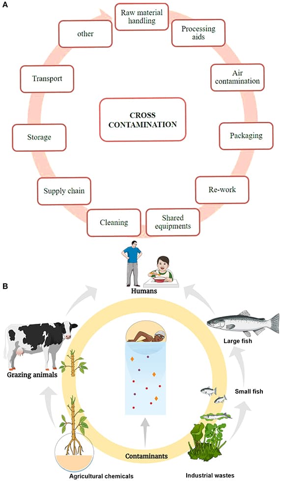 Monitoring Food Safety and Preventing Foodborne Illnesses, Frontiers | The Sources of Chemical Contaminants in Food and Their Health Implications