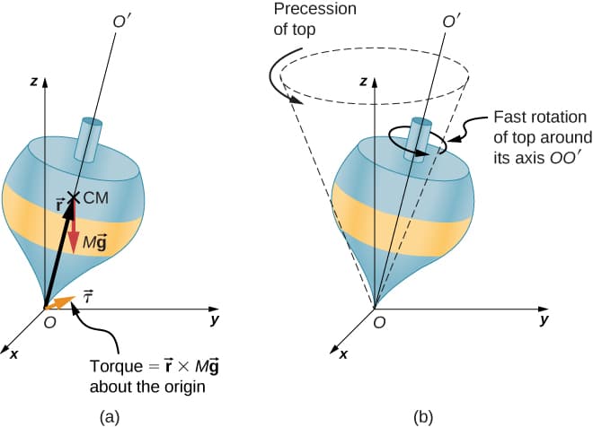 Angular momentum conservation, Precession of a Gyroscope – University Physics Volume 1