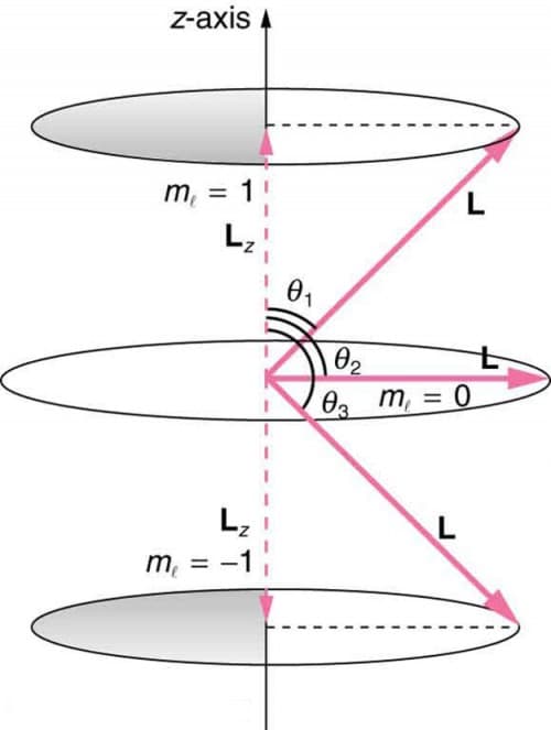 Quantization and vector properties, Quantum Numbers and Rules | Physics