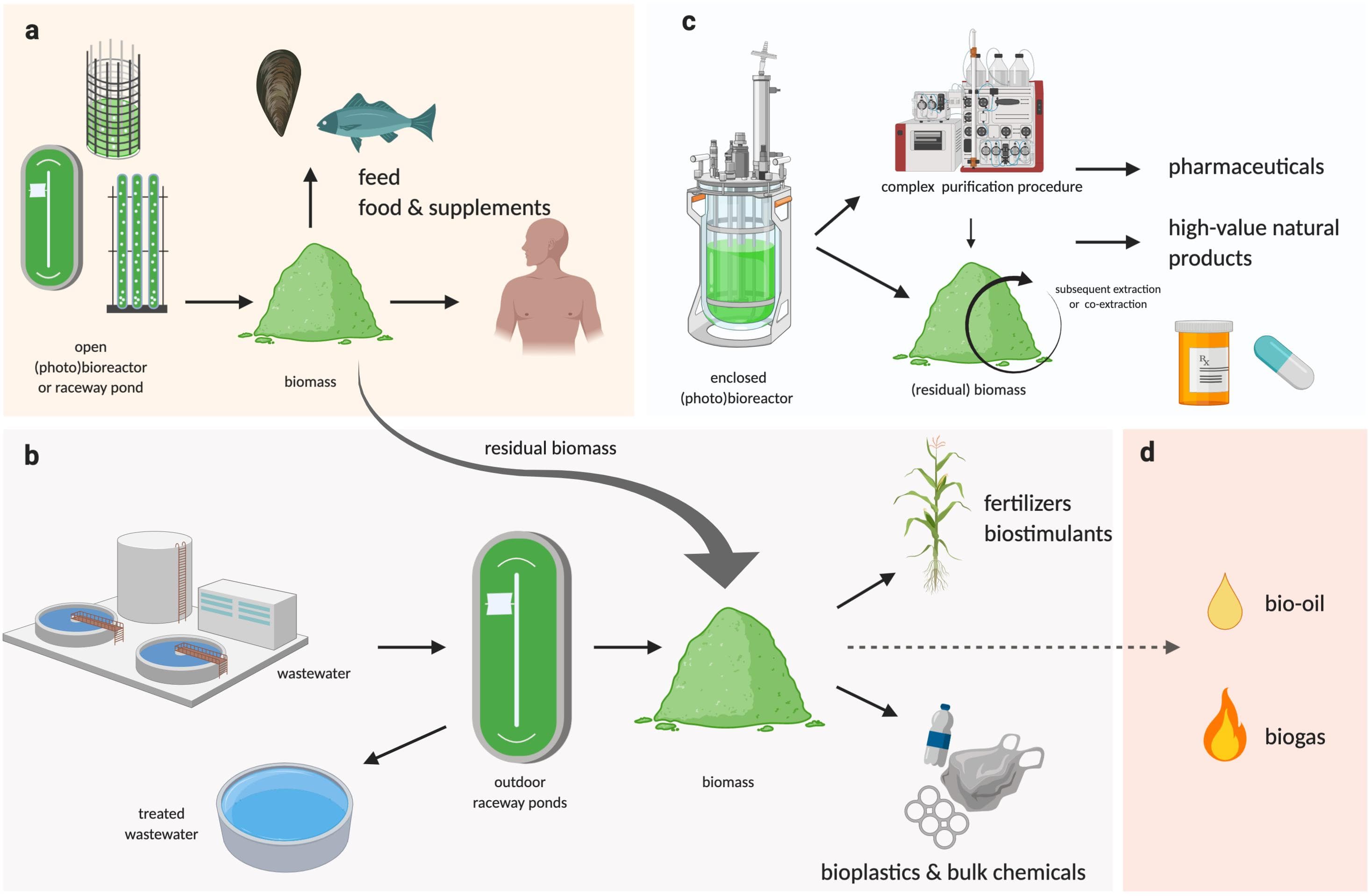 Applications of biotechnology in marine resources, Frontiers | Emerging Technologies in Algal Biotechnology: Toward the Establishment of a ...
