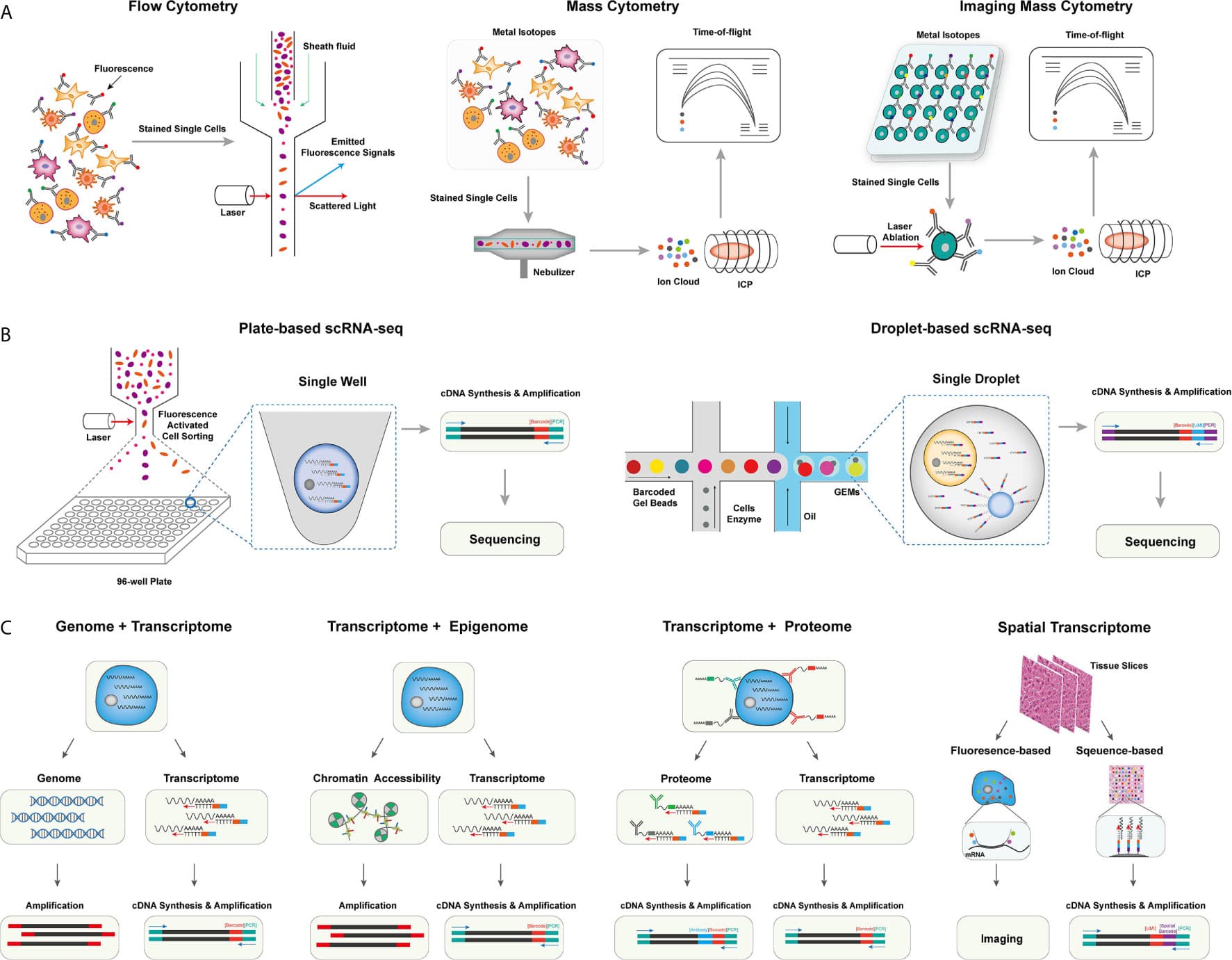 Applications of omics in microbiology, Frontiers | Applications of Single-Cell Omics in Tumor Immunology