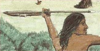 Archaic period foundations, NATIVE HISTORY ASSOCIATION - The Archaic Period