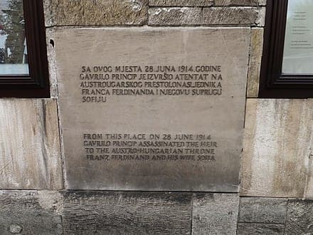The Event and Its Immediate Impact, Assassination of Archduke Franz Ferdinand - Wikipedia
