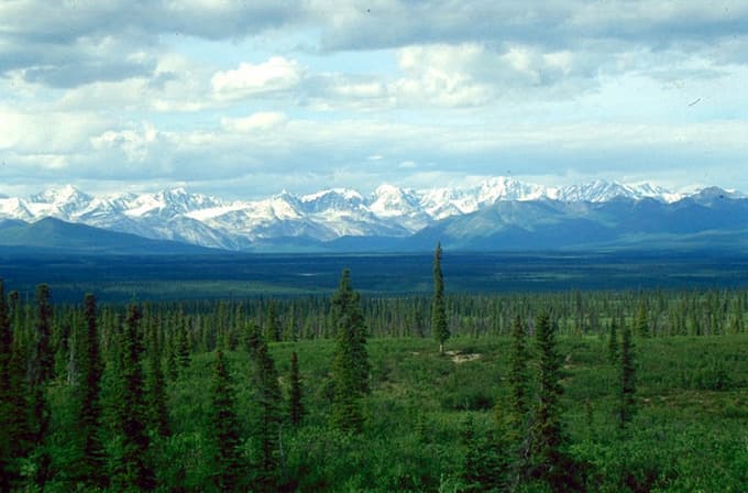 Arctic and Subarctic Biomes, 44.3F: Boreal Forests and Arctic Tundra - Biology LibreTexts