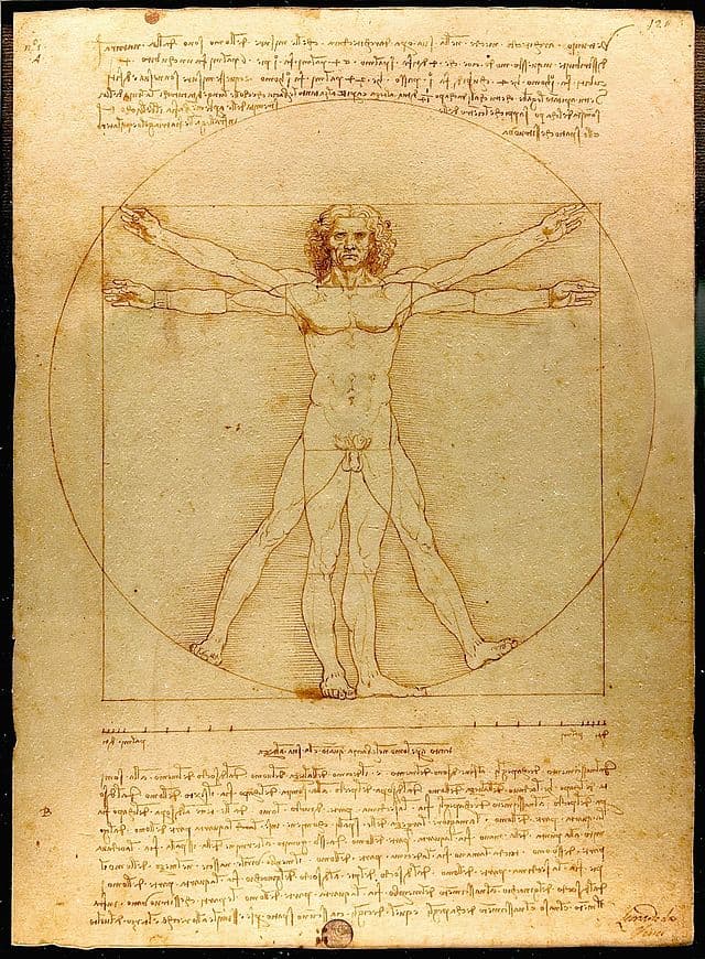 Artistic styles of Renaissance masters, The Renaissance | Boundless World History
