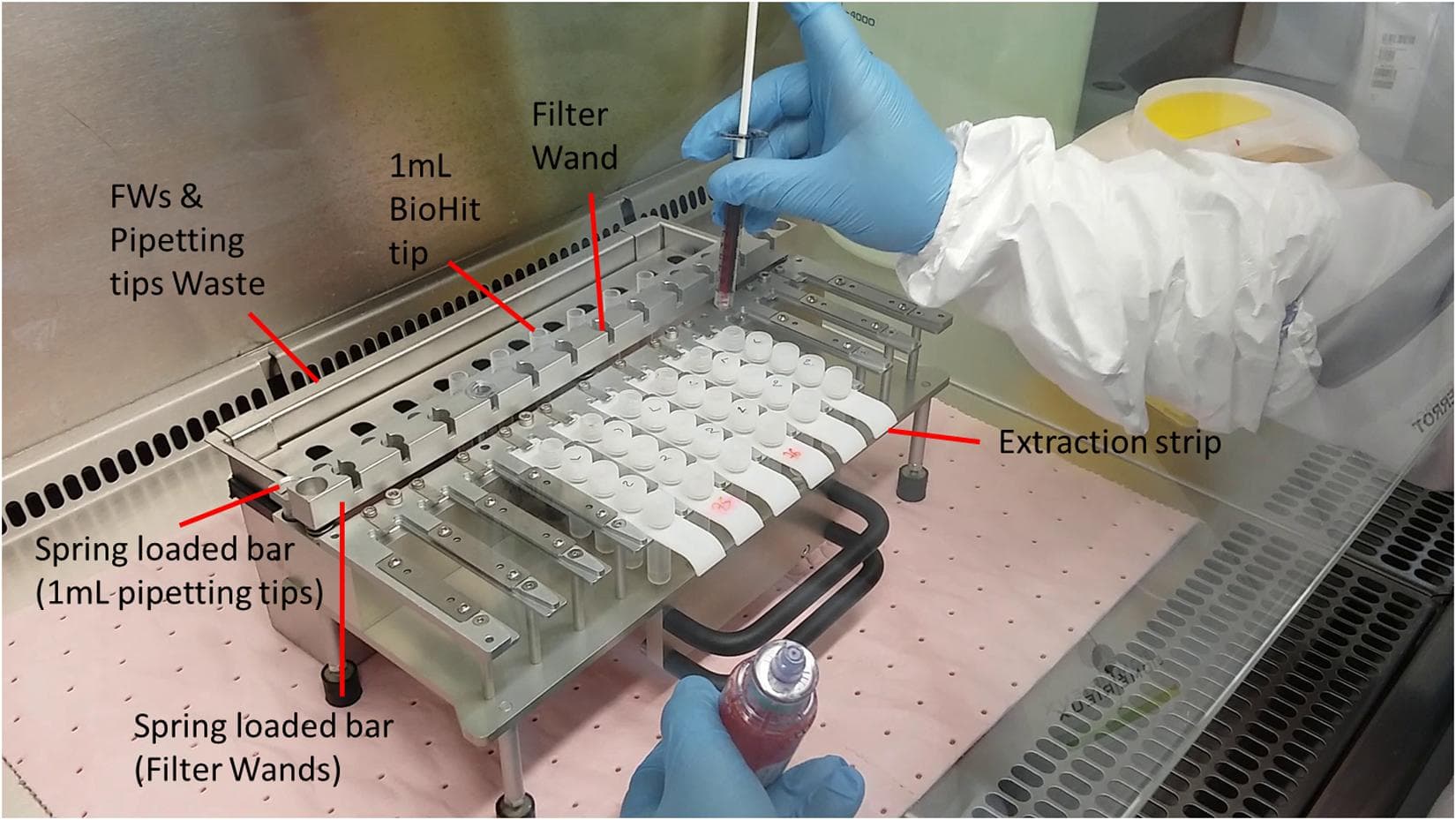 Time and Cost Savings, Frontiers | An Automated Sample Preparation Instrument to Accelerate Positive Blood Cultures ...