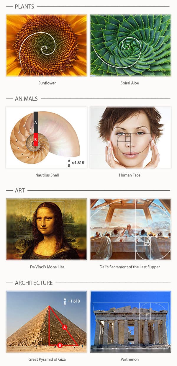 Balanced and Symmetrical Composition, How to Use the Golden Ratio in Design (with Examples)