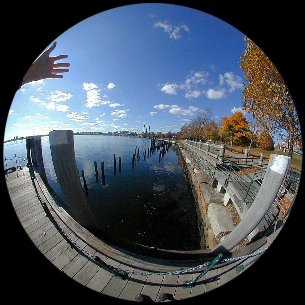 Barrel distortion, image processing - How can I implement a fisheye lens effect (barrel transformation) in MATLAB ...