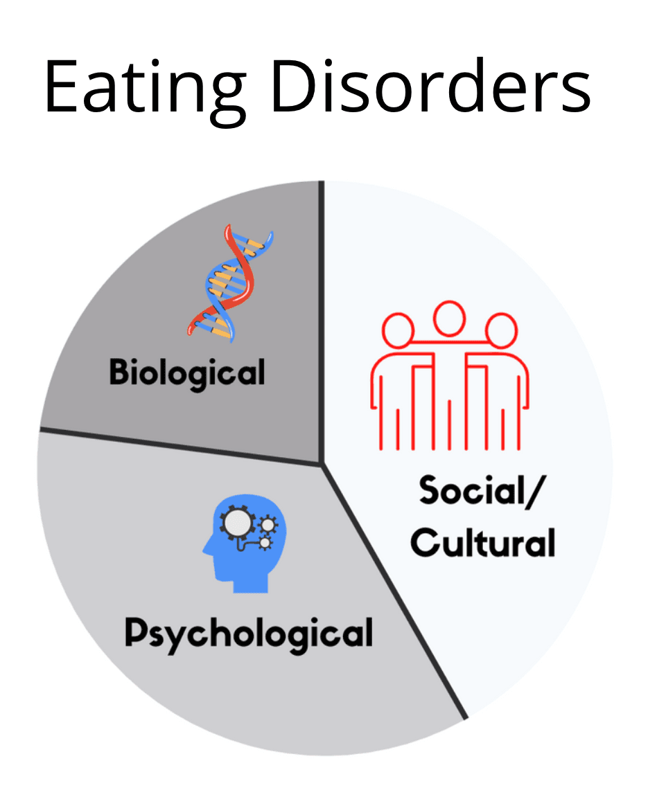 Definition of binge eating disorder, Understanding and Treating Eating Disorders | Abnormal Psychology