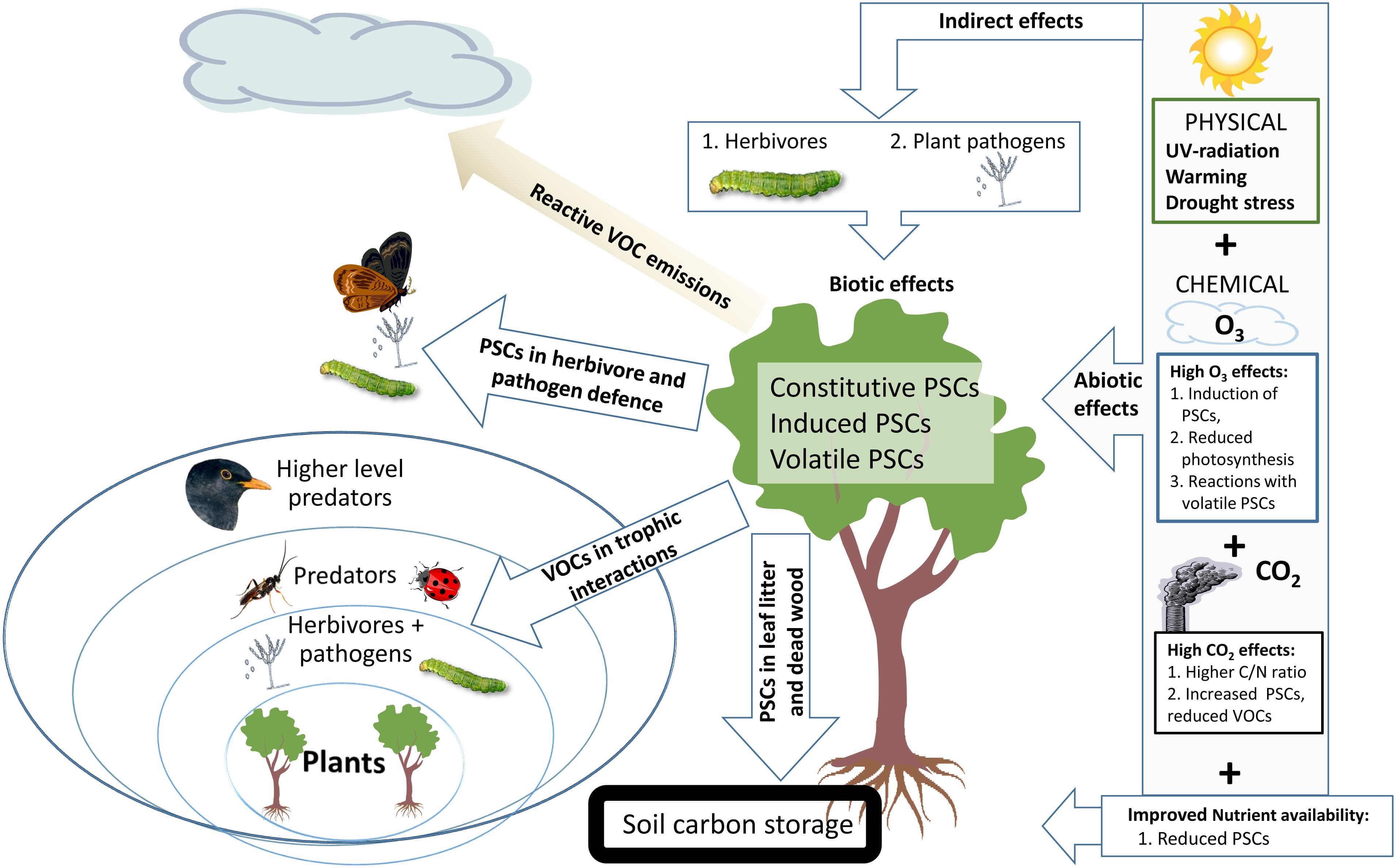Biodiversity Loss and Species Migration, Frontiers | Climate Change Effects on Secondary Compounds of Forest Trees in the Northern Hemisphere