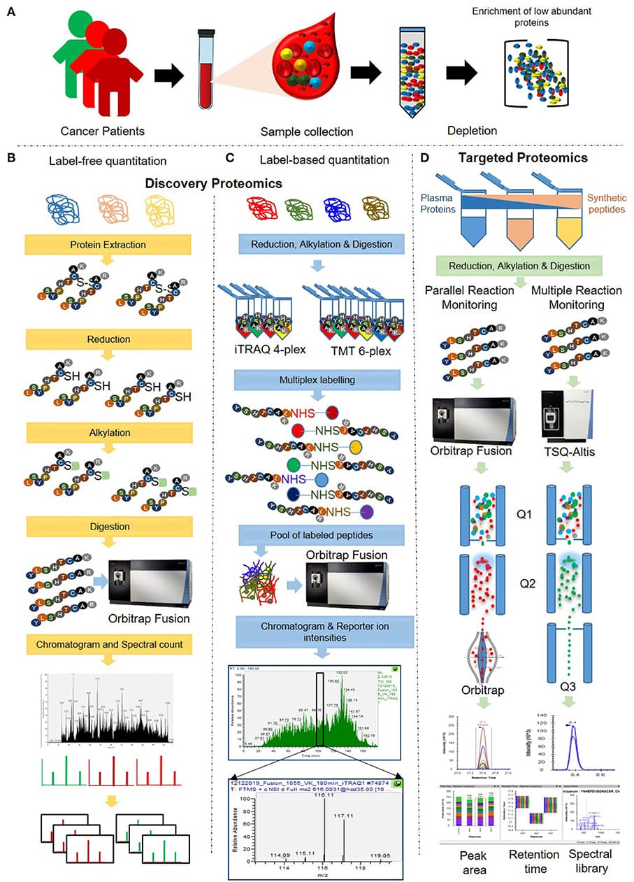 Definition and purpose, Frontiers | An Integrated Quantitative Proteomics Workflow for Cancer Biomarker Discovery and ...