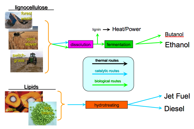 Concepts of biorefinery design, The Conversion of Biomass into Biofuels | Sustainability: A Comprehensive Foundation