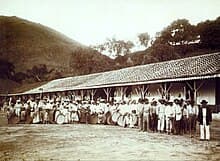 Brazil's Colonial Period, Coffee production in Brazil - Wikipedia