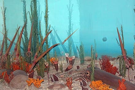 Start and end dates, Cambrian explosion - WikiVisually