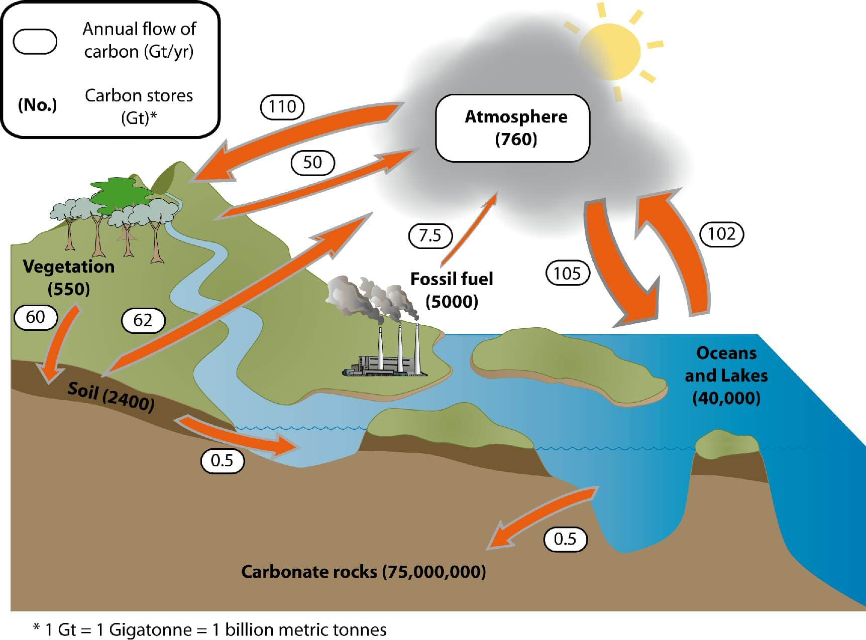 Carbon reservoirs on Earth, Soil carbon | Environment, land and water | Queensland Government