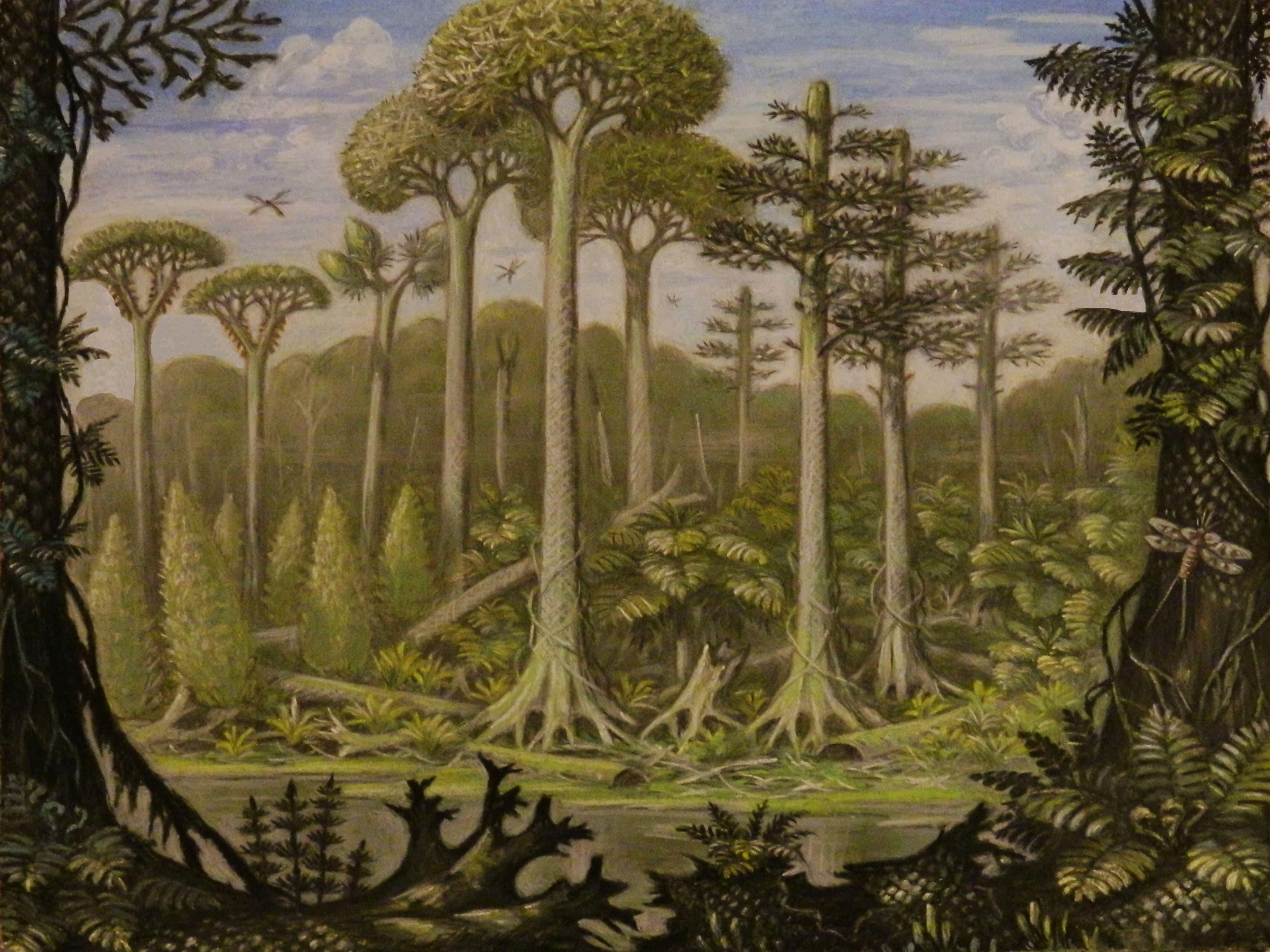 Division into Mississippian and Pennsylvanian subperiods, A forest of the Carboniferous period (var.1). by ABelov2014 on DeviantArt