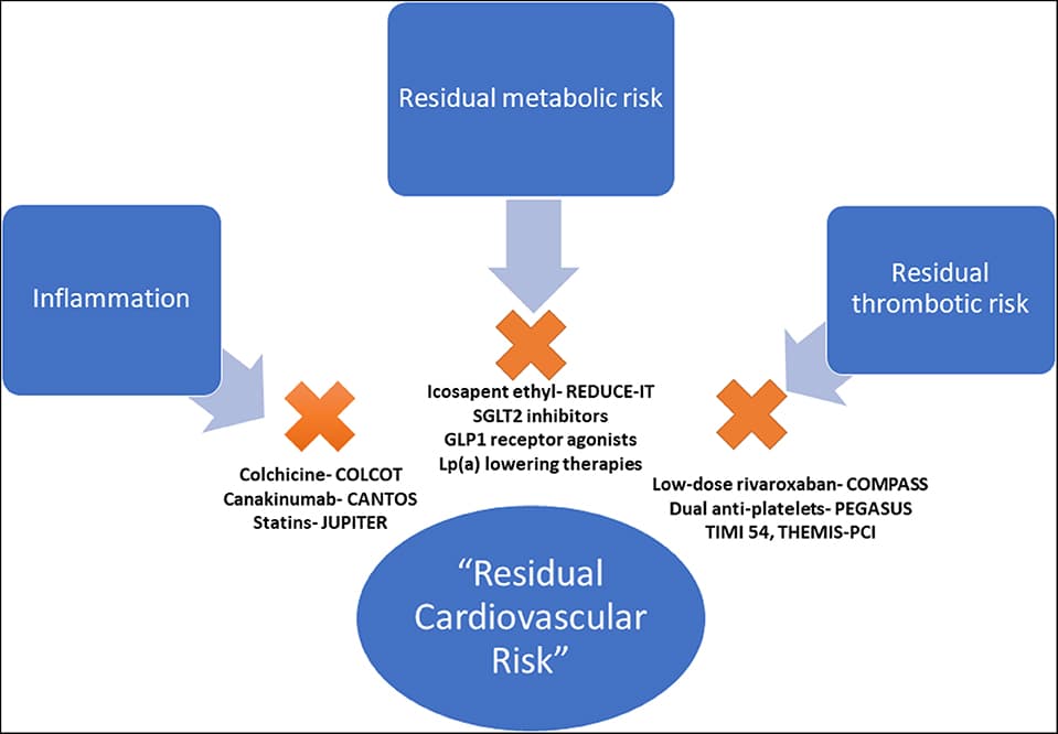 Cardiovascular and Respiratory Diseases, Frontiers | The Evolving Understanding and Approach to Residual Cardiovascular Risk Management