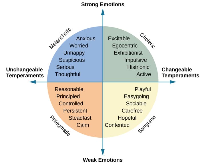Cattell's and Eysenck's personality models, What Is Personality? | Introduction to Psychology