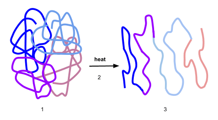 Causes of Protein Denaturation, Denaturation (biochemistry) - Wikipedia