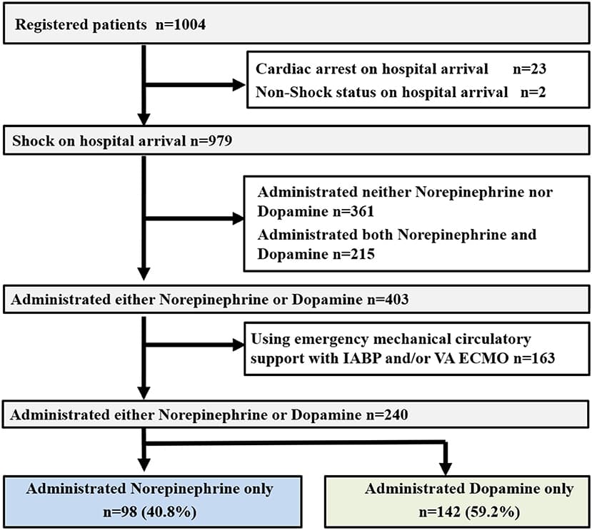 Characteristics and uses of drugs for anaphylactic, hypovolemic, and cardiogenic shock, Frontiers | Treatment With Vasopressor Agents for Cardiovascular Shock Patients With Poor Renal ...