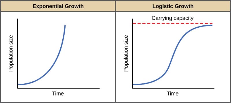 Characteristics of exponential growth, Environmental Limits to Population Growth | Biology for Majors II