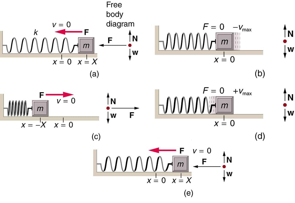Characteristics of harmonic motion, Simple Harmonic Motion: A Special Periodic Motion | Physics