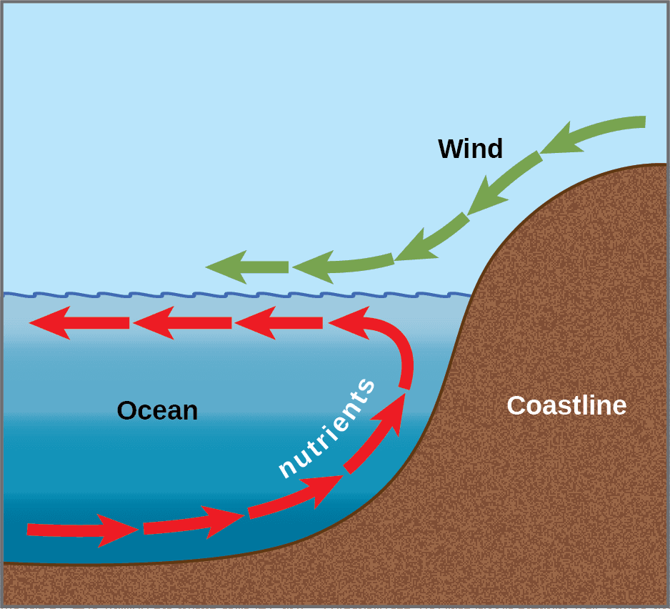 Characteristics of ocean waves, Biogeography | OpenStax Biology 2e