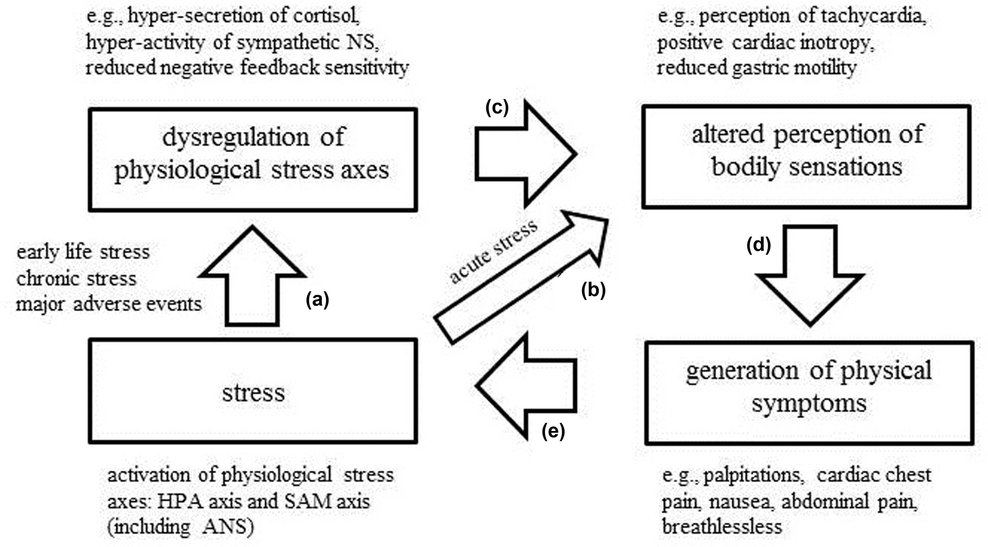 Chronic Stress and Its Consequences, Frontiers | Interoception and stress | Psychology