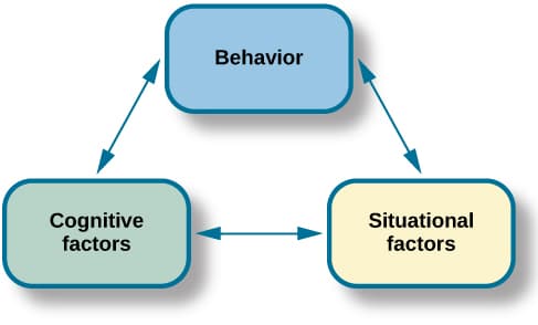 Classical vs operant vs social learning, Learning Approaches | Introduction to Psychology
