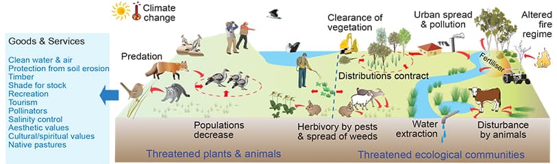 Climate change and biodiversity loss, NRM Report Cards Threatened plants and animals