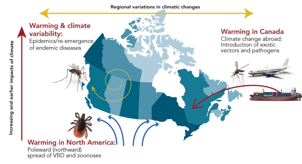 Climate Change and Environmental Impacts, Climate change and infectious diseases 2019 - Canada.ca