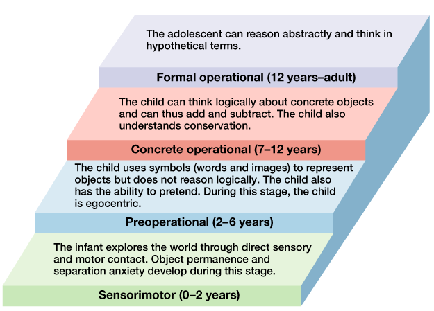 Cognitive development milestones, Theories of Human Development | Boundless Psychology