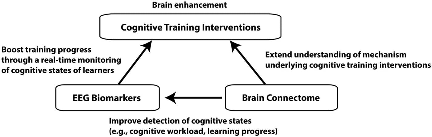 Definition of cognitive enhancement, Frontiers | Brain enhancement through cognitive training: a new insight from brain connectome ...