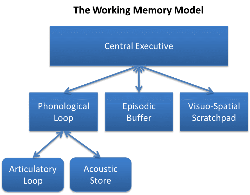 Definition of cognitive load theory, Working memory - Wikipedia