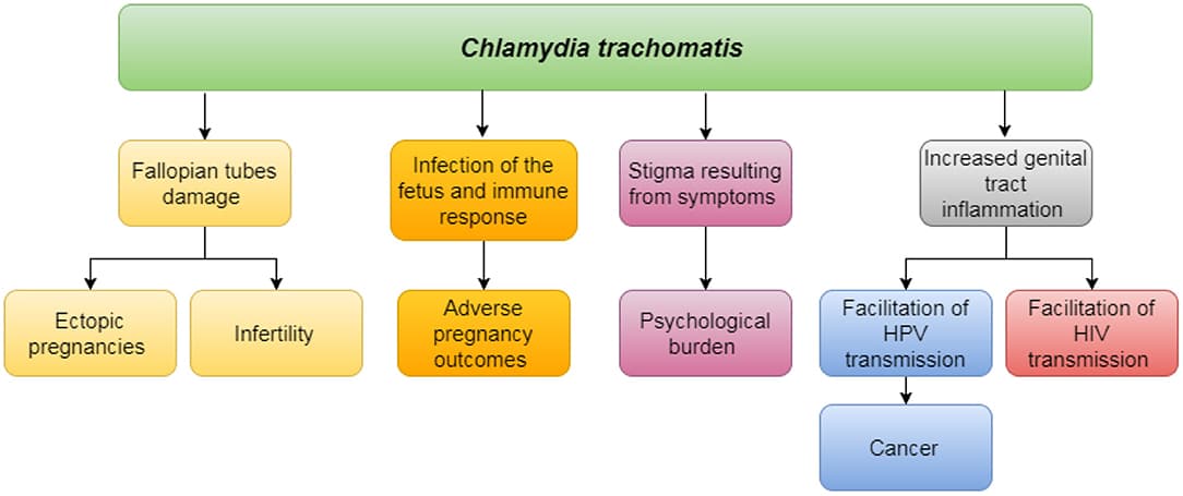 Common STIs in adolescents, Frontiers | An Integrated Care Model With Implementation Roadmap to Improve Chlamydia ...
