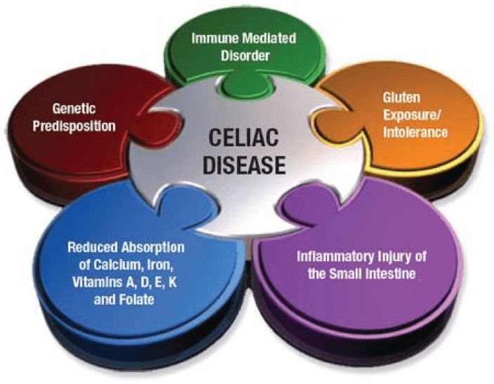 Common Gastrointestinal Disorders, Food Allergies and Intolerances – Nutrition and Labelling for the Canadian Baker
