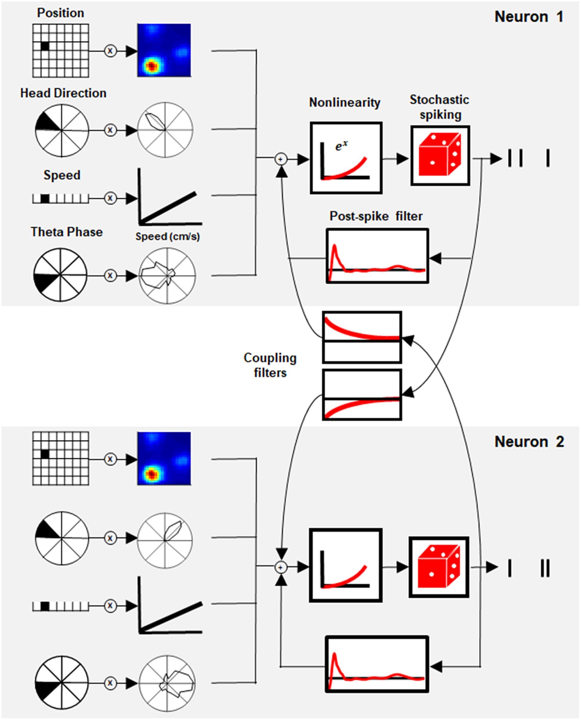 Components of GLMs, Frontiers | A Generalized Linear Model of a Navigation Network