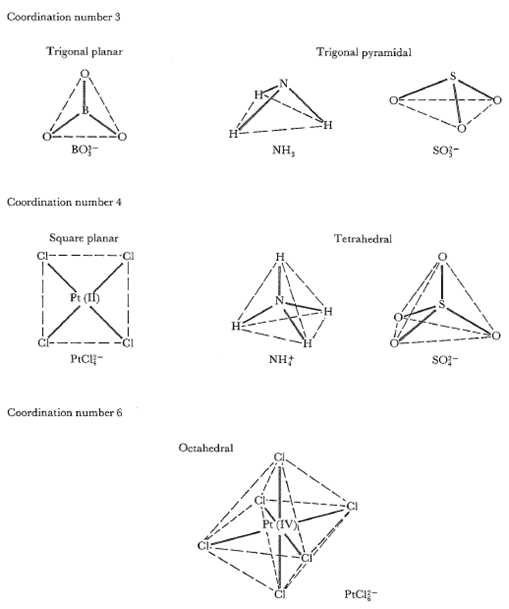 Components of Coordination Compounds, Coordination Compounds | Boundless Chemistry