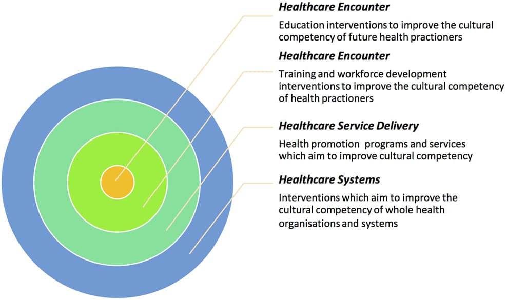 Components of cultural assessment, Frontiers | The Implementation and Evaluation of Health Promotion Services and Programs to ...