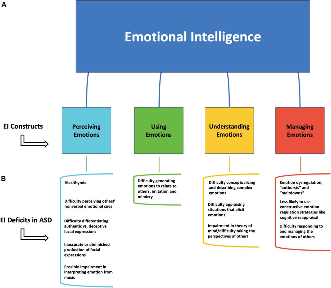 Components of emotional intelligence, Frontiers | Considerations About How Emotional Intelligence can be Enhanced in Children With ...