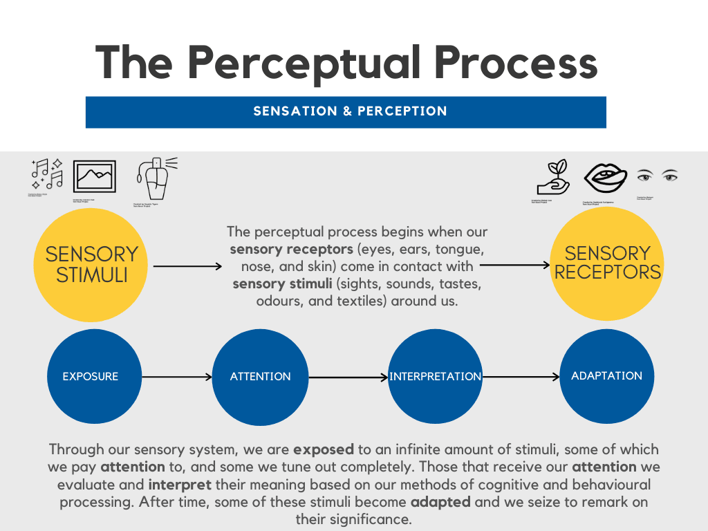 Components of perception, The Perceptual Process – Introduction to Consumer Behaviour